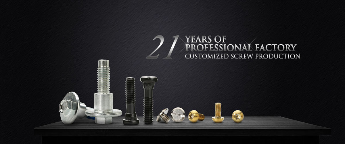 Qualität Gewindeschneidschrauben des Edelstahls usine