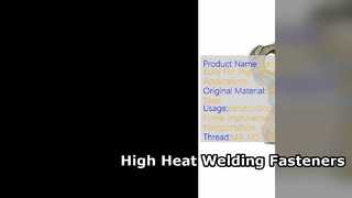 Hochtemperatur-Schweißmuttern, Bolzen aus Edelstahl 316